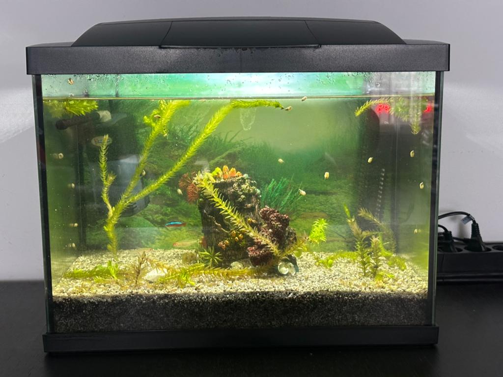 Aquarium voor tropische vissen incl. vissen en toebehoren, Dieren en Toebehoren, Vissen | Aquaria en Toebehoren, Ophalen, Gebruikt