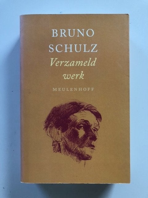 Bruno Schulz: Verzameld werk, Boeken, Ophalen of Verzenden, Gelezen