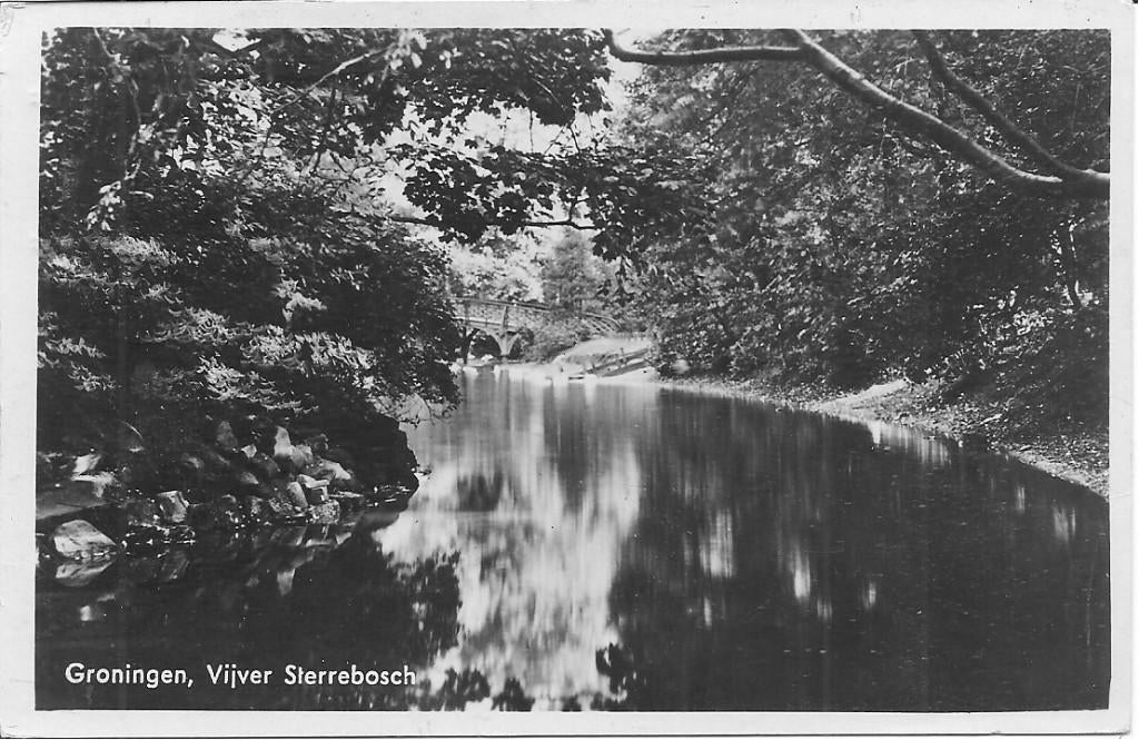 Groningen Vijver Sterrenbosch., Ophalen of Verzenden, 1920 tot 1940, Gelopen, Groningen