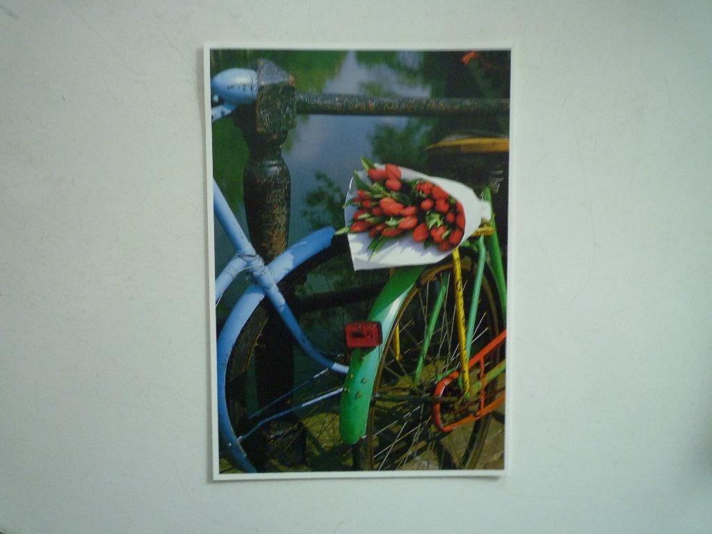 Tulpen uit Amsterdam Art unlimited Tjalf Sparnaay bloemen, Ophalen of Verzenden, Voor 1920, Noord-Holland