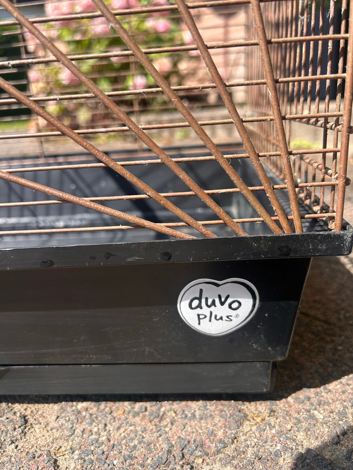 Vogelkooi (goudkleurig), Dieren en Toebehoren, Vogels | Hokken en Kooien, Ophalen, Gebruikt, Metaal, Vogelkooi