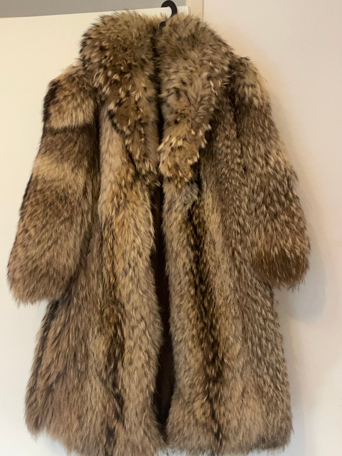Lange raccoon bontjas in bruin/beige tinten, Kleding | Dames, Ophalen, Zo goed als nieuw, Maat 38/40 (M), Bruin