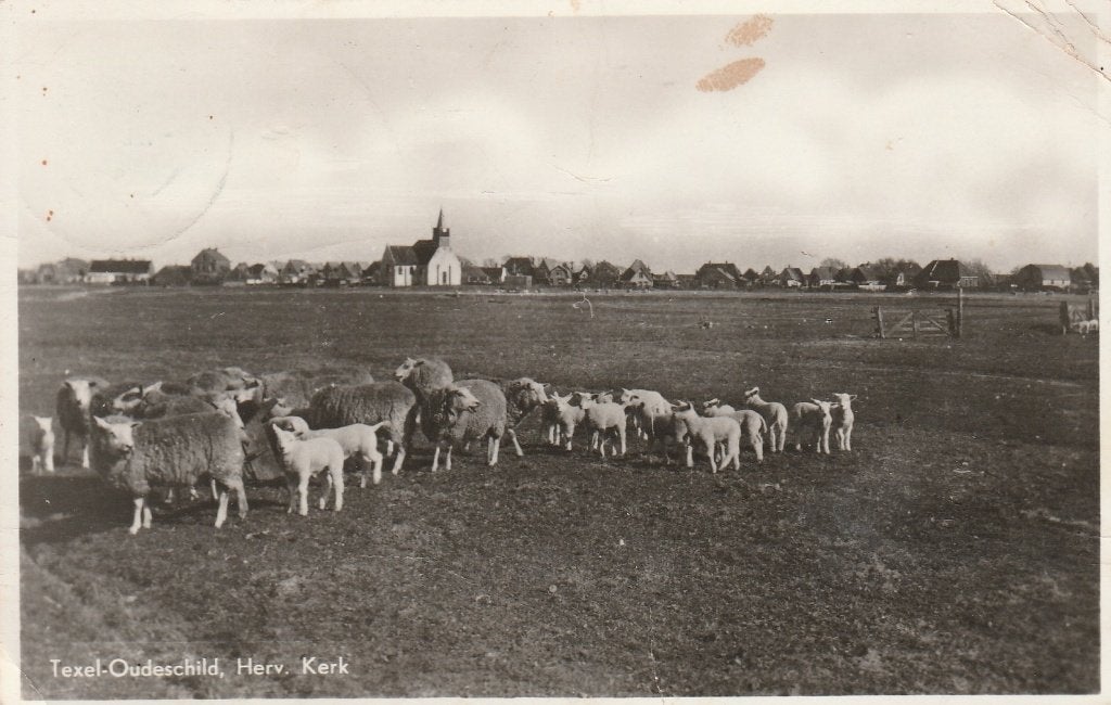 Texel, Ophalen of Verzenden, 1940 tot 1960, Gelopen, Waddeneilanden