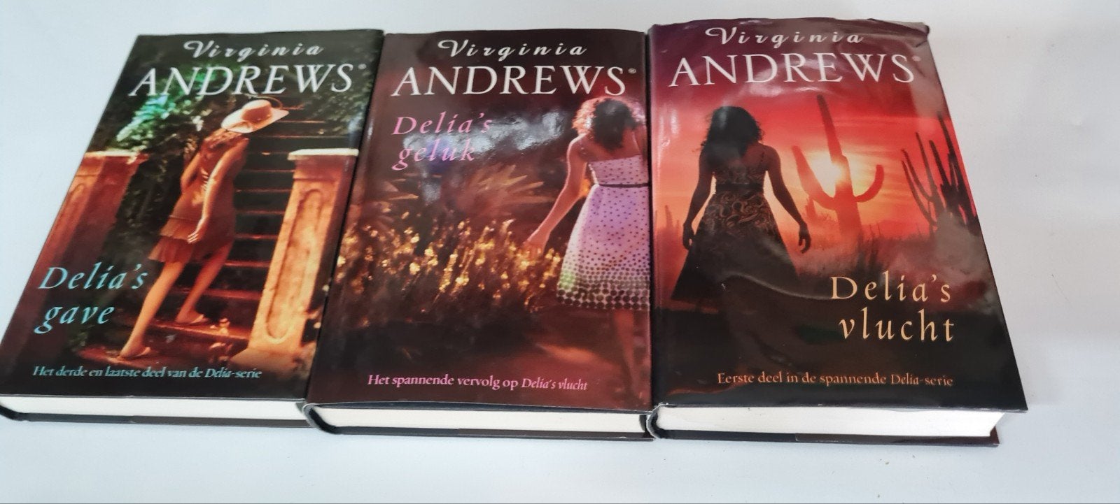 V. Andrews - Delia's vlucht, Ophalen of Verzenden, Zo goed als nieuw, V. Andrews