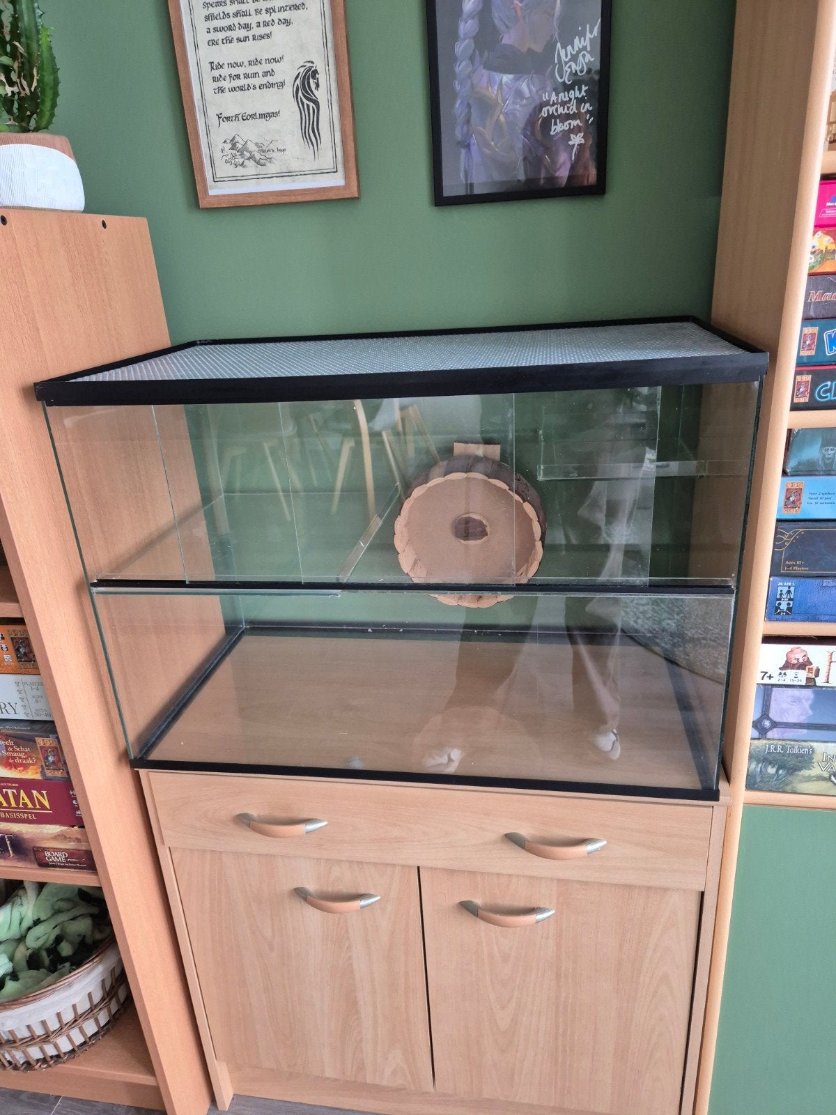 gerbilarium en toebehoren, Dieren en Toebehoren, Gebruikt, Minder dan 75 cm, Ophalen, Minder dan 60 cm