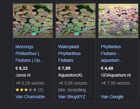 aquarium drijfplant, Phyllanthus fluitans, Overige typen, Zoetwatervis