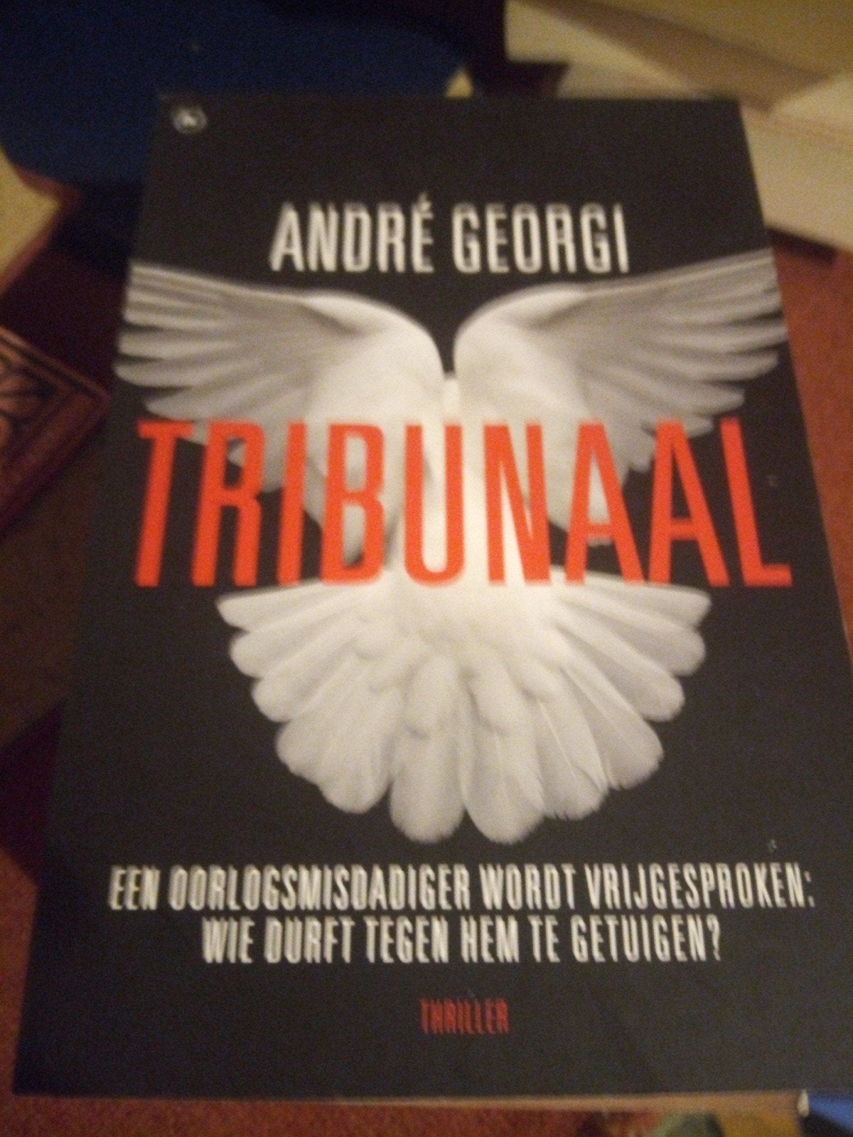 Tribunaal - André Georgi (Thriller), Boeken, Verzenden, Gelezen, André Georgi, Europa overig