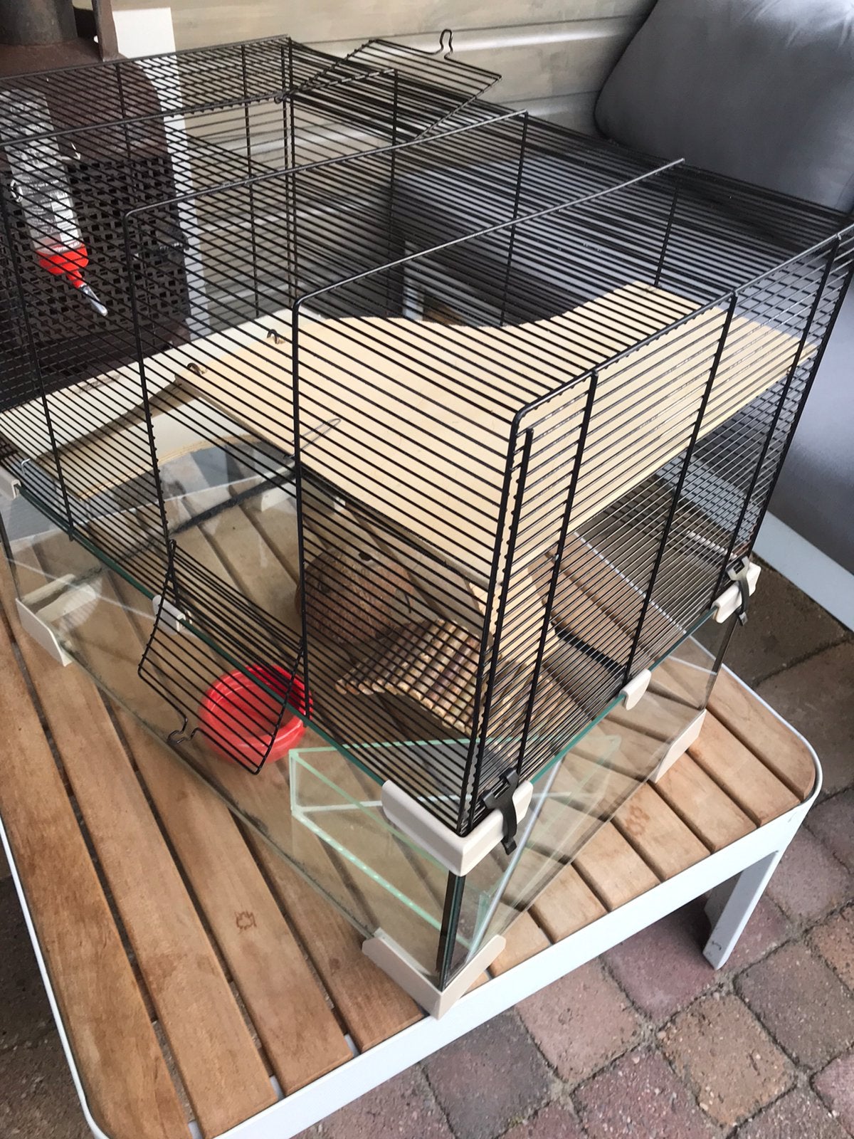 Hamsterkooi, Kooi, Gebruikt, Minder dan 75 cm, Muis