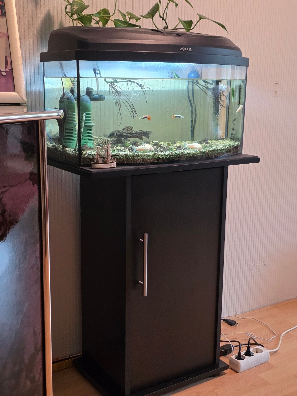 Aquarium met kast, Ophalen