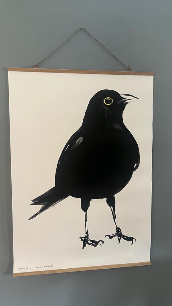 A1 Poster Merel | Blackbird - Maartje van den Noort, Ophalen of Verzenden, Zo goed als nieuw, Foto of Poster, 75 cm of meer