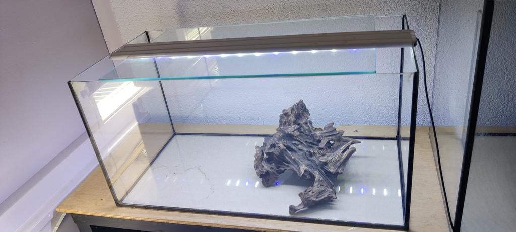 Aquarium en toebehoren, Ophalen of Verzenden