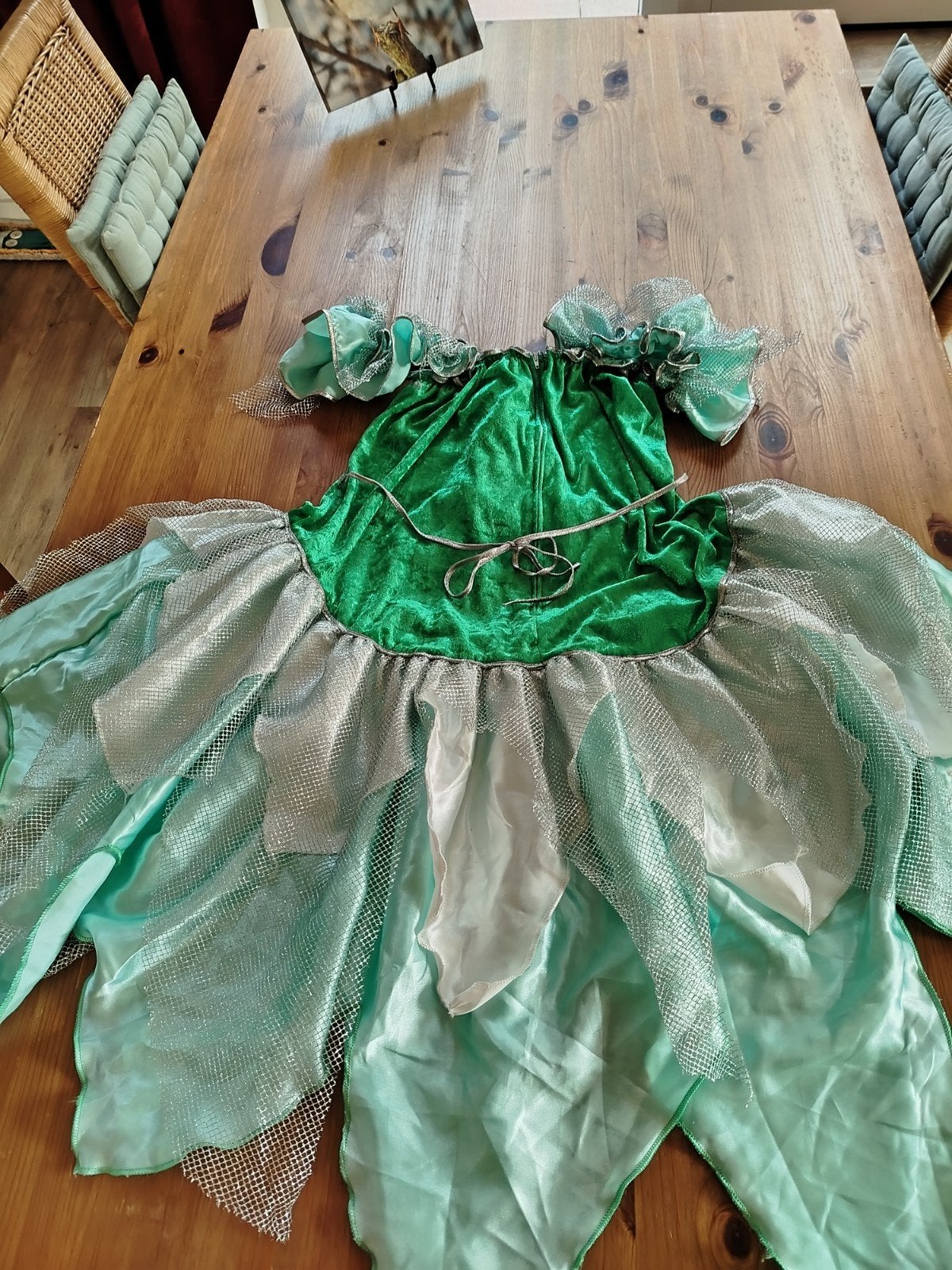 Leuk elfen jurkje, elfen pakje, Ophalen of Verzenden, Zo goed als nieuw, Maat 46/48 (XL) of groter, Carnaval