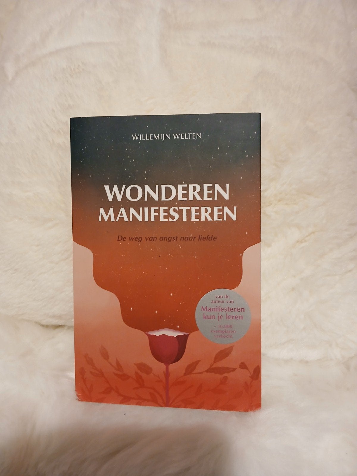 Willemijn Welten - Wonderen manifesteren, Ophalen, Zo goed als nieuw, Willemijn Welten