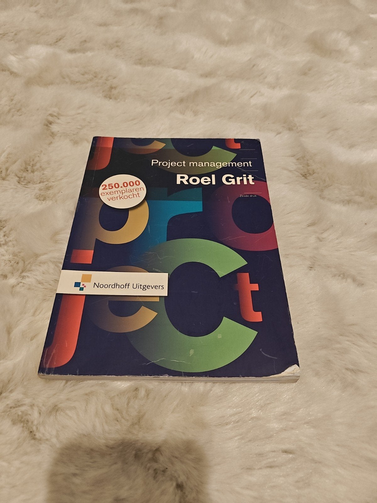 Project Management - Roel Grit (Noordhoff Uitgevers), Boeken, Gelezen, Roel Grit, Gamma, HBO