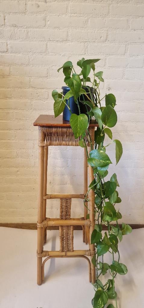 Hoge vintage plantentafel - Bamboe/Rotan - Boho, Gebruikt, Onbekend, Ophalen of Verzenden, Onbekend