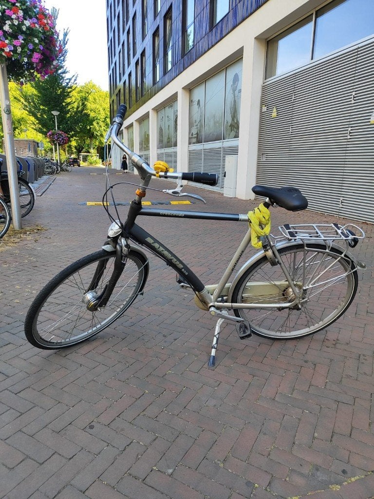 Batavus Bike, Fietsen en Brommers, Ophalen, Gebruikt, Versnellingen, Batavus
