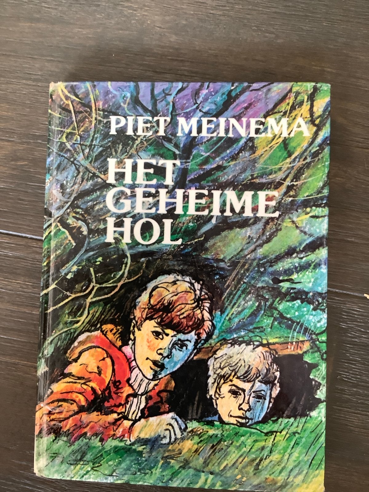 Het Geheime Hol - Piet Meinema (Jeugdboek), Boeken, Ophalen of Verzenden, Gelezen, Fictie algemeen