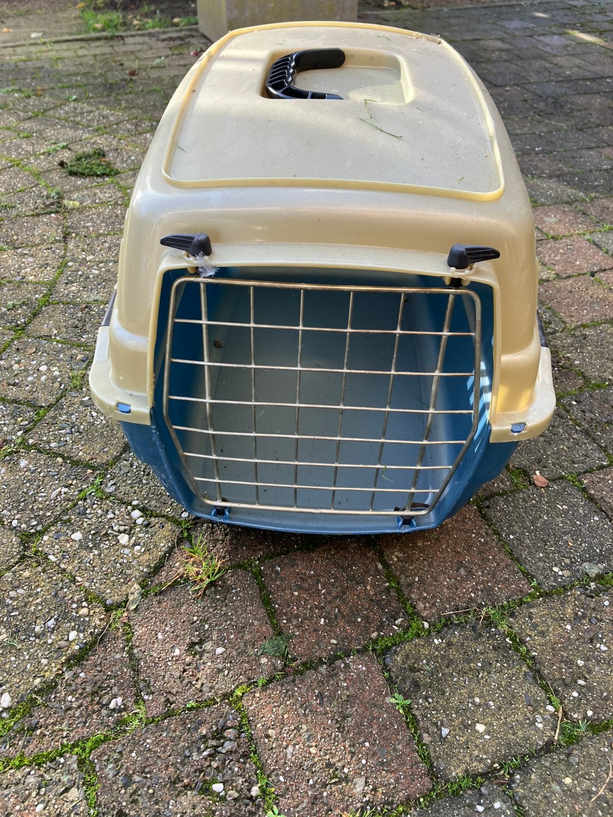 Katten Transport box, Ophalen of Verzenden, Zo goed als nieuw
