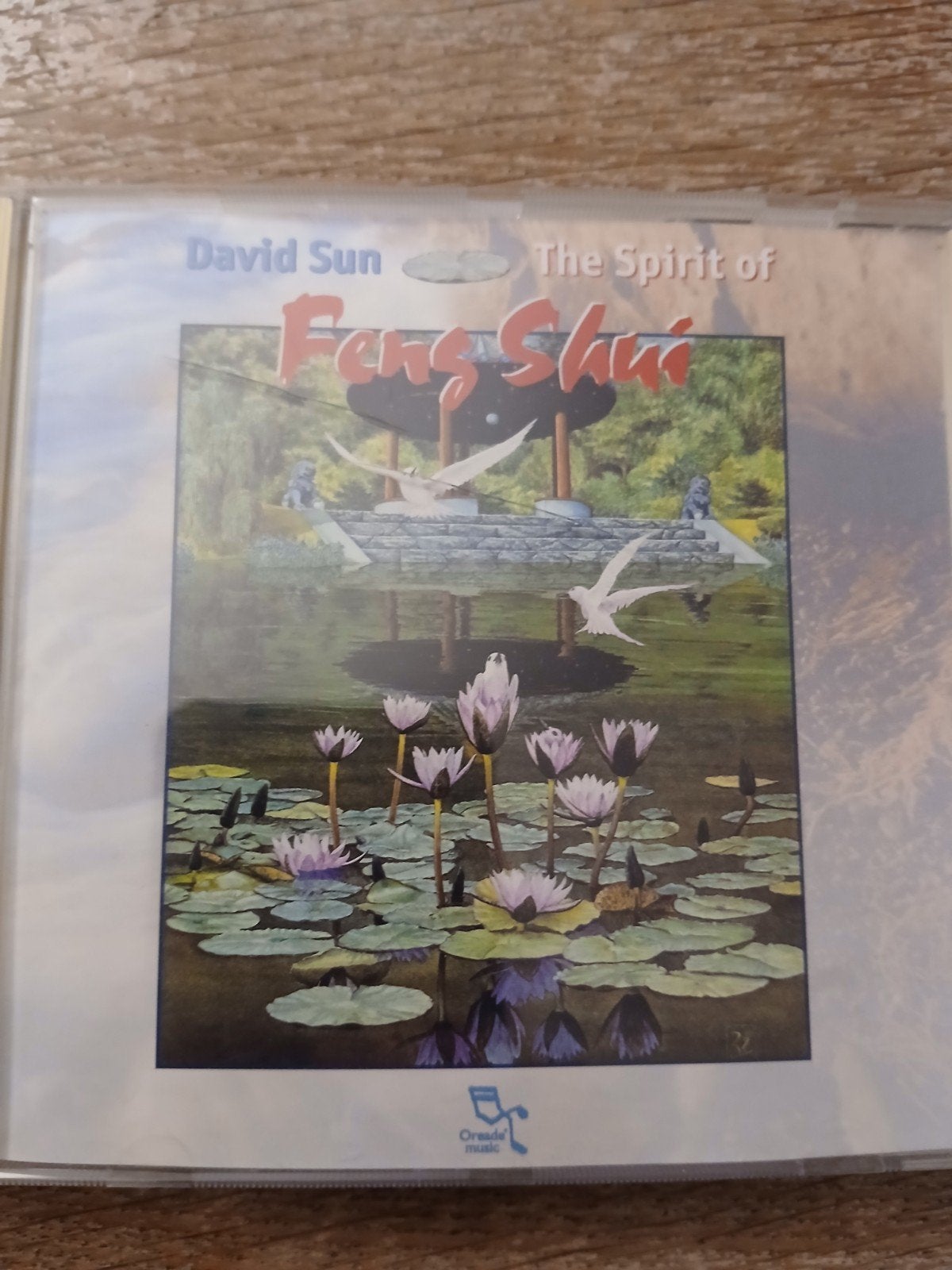 CD David Sun - The Spirit Of Feng Shui, Cd's en Dvd's, Ophalen of Verzenden, Zo goed als nieuw