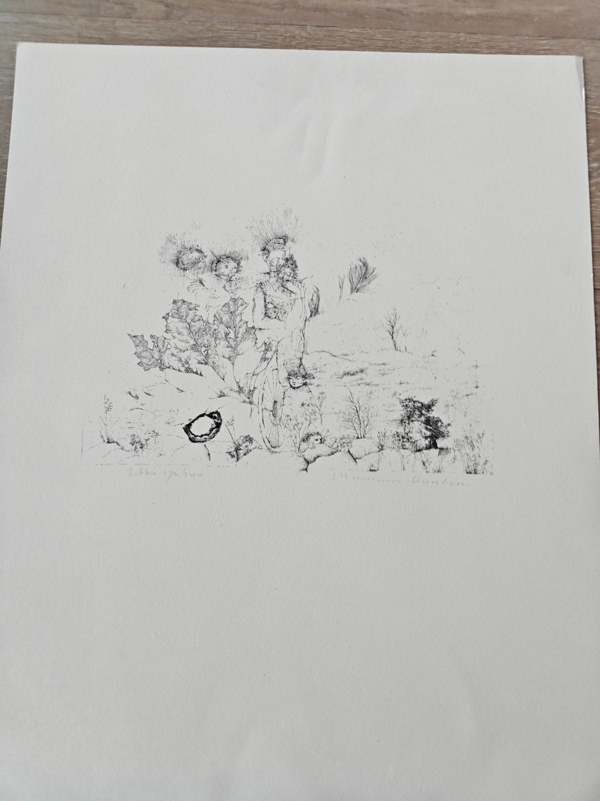 Ets van Marianne Aartsen, genummerd 76/200, Ophalen, Genummerd, Flora en Fauna, 1950 - 1999