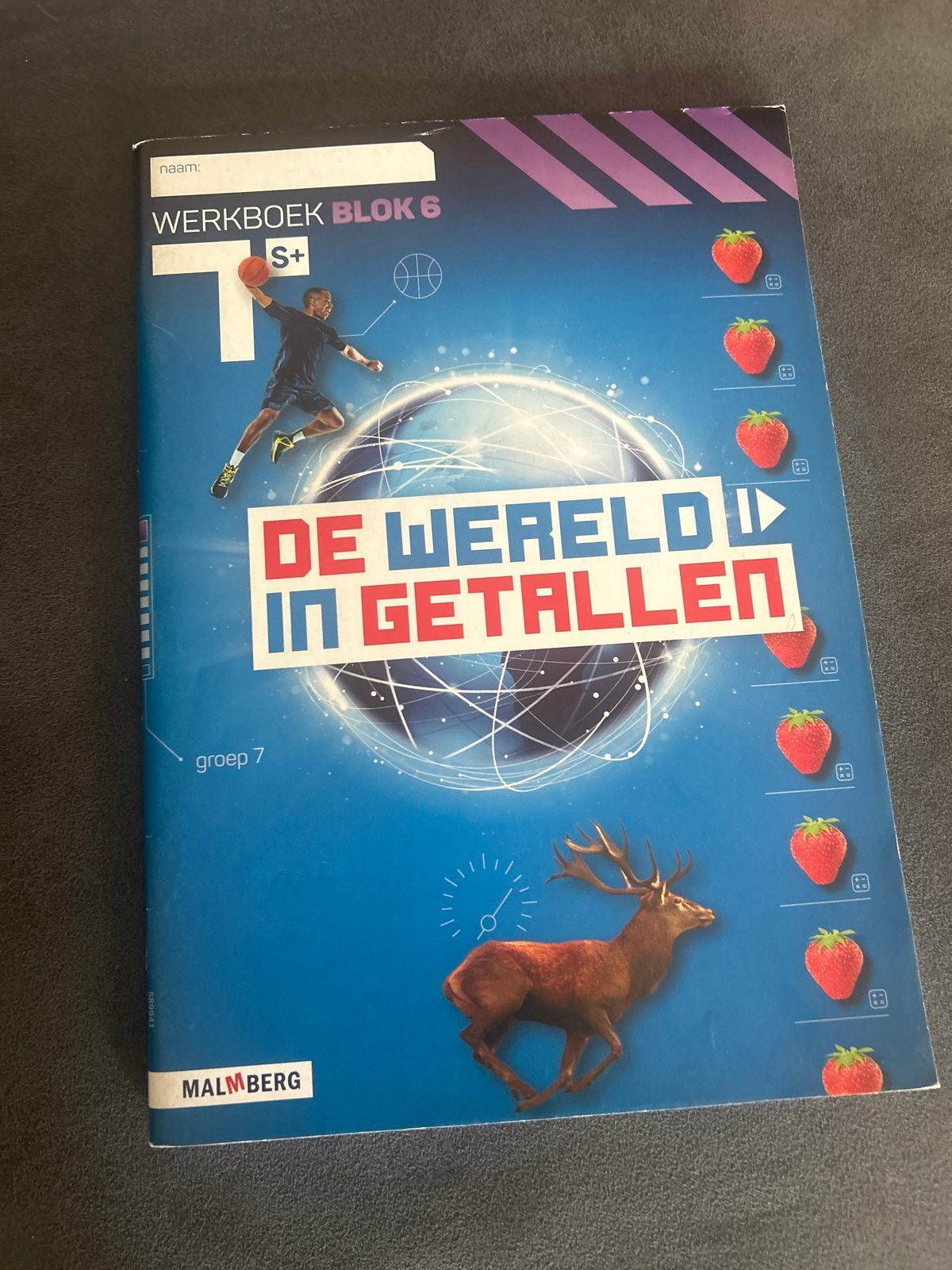 De Wereld in Getallen Werkboek Blok 6 Groep 7 S+, Boeken, Ophalen of Verzenden, Gelezen, Overige niveaus, Overige vakken