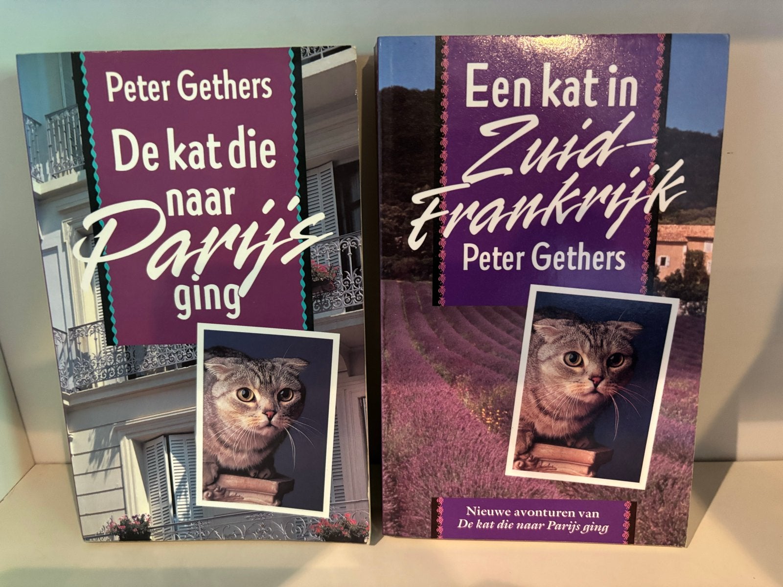 Peter Gethers - De kat die naar Parijs ging & Een kat in Zui, Boeken, Romans, Ophalen of Verzenden, Gelezen, Europa overig