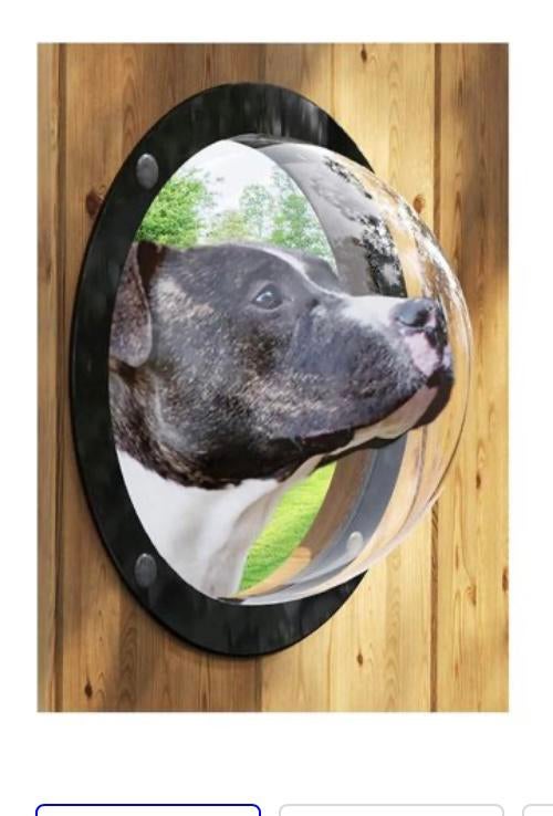 Nieuwe patrijspoort voor honden in schutting of decoratie, Ophalen of Verzenden, Nieuw