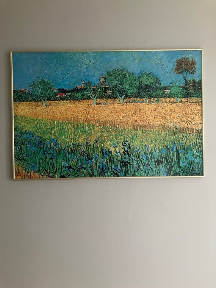 Prachtig Landschap Schilderij - lijkend op Van Gogh, Antiek en Kunst, Kunst | Schilderijen | Klassiek, Ophalen, Paneel, Impressionistisch
