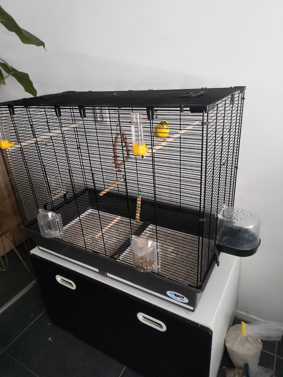 Vogelkooi Ferplast piano 6, Ophalen, Zo goed als nieuw, Metaal, Vogelkooi