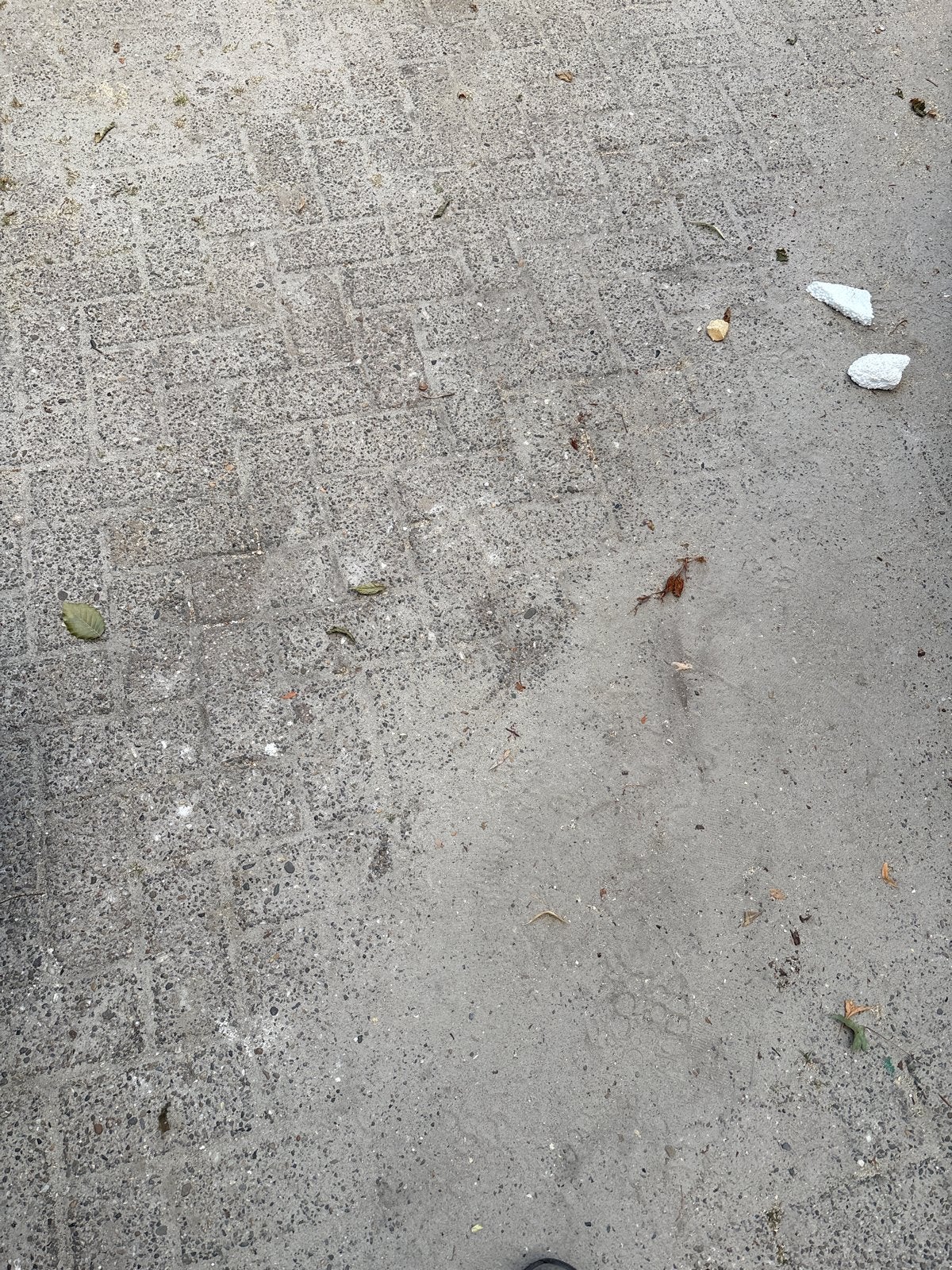 Betonstraatstenen, Tuin en Terras, Tegels en Klinkers, Gebruikt, Overige typen, Ophalen of Verzenden, 10 m² of meer