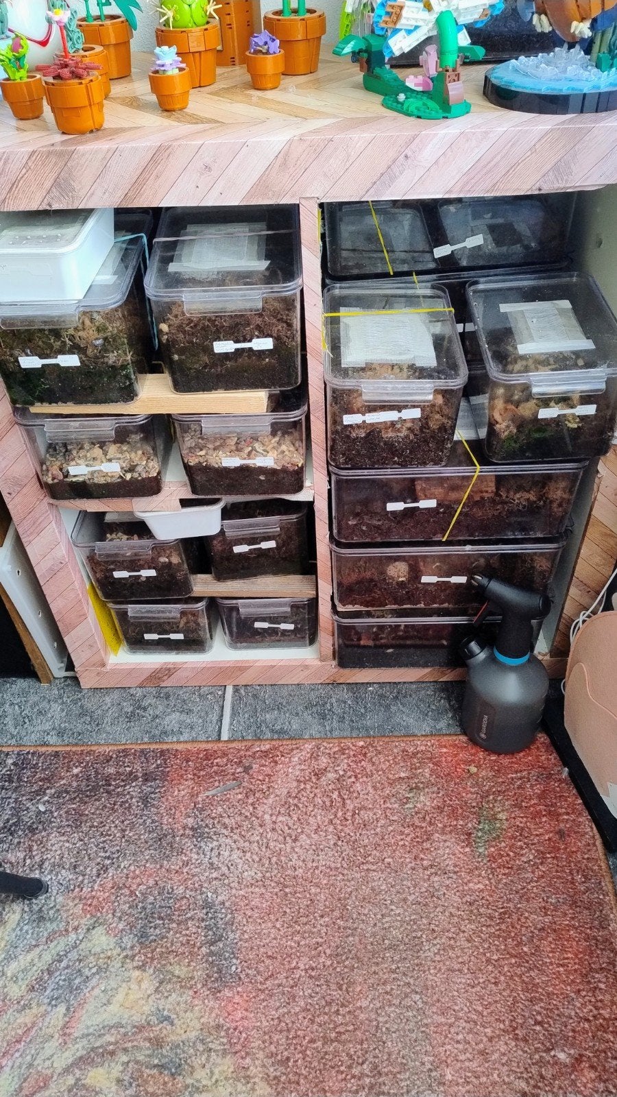 isopods en springstaarten, Overige soorten