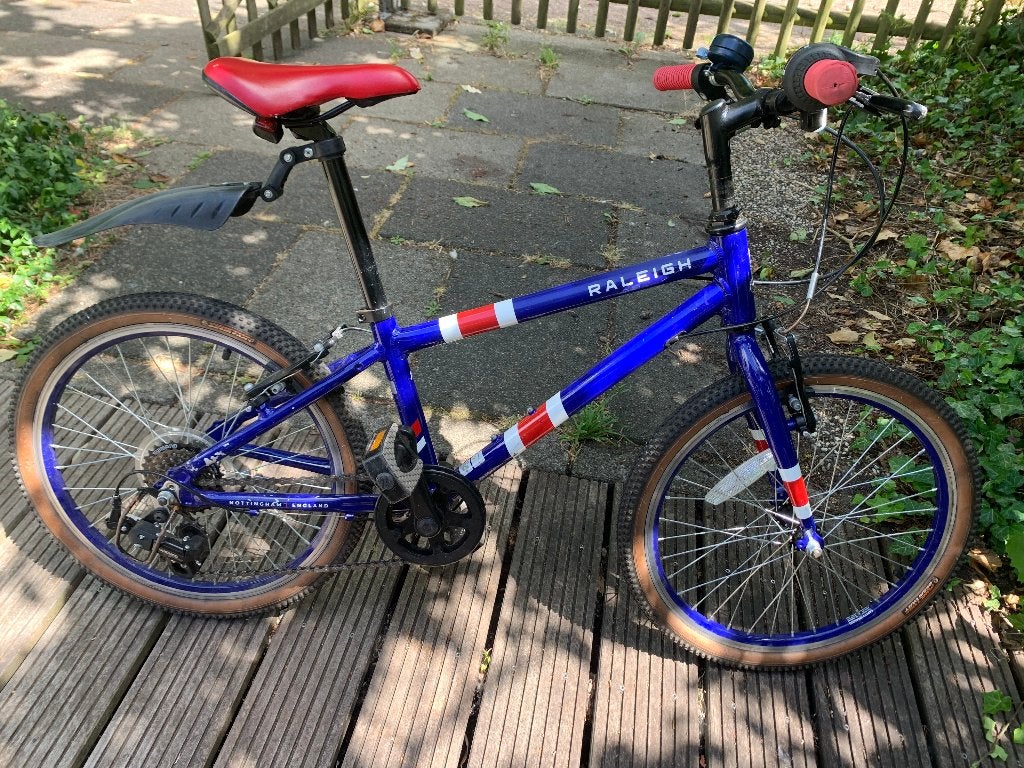 Mountainbike Raleigh POP 20 inch, Fietsen en Brommers, 20 inch of meer, Velgrem, Zo goed als nieuw, Ophalen