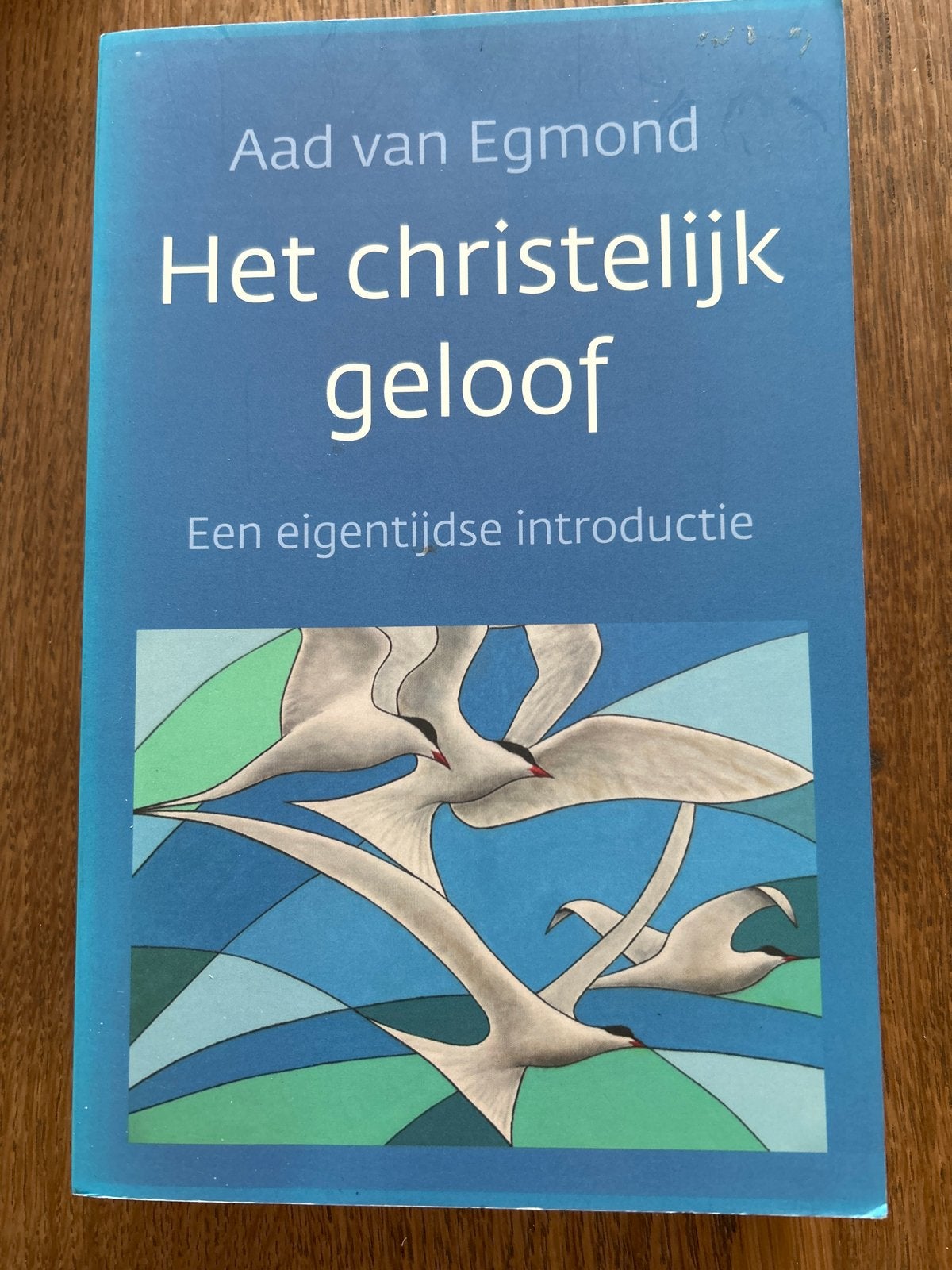 Het christelijk geloof - Een eigentijdse introductie, Boeken, Ophalen of Verzenden, Zo goed als nieuw, Christendom | Katholiek