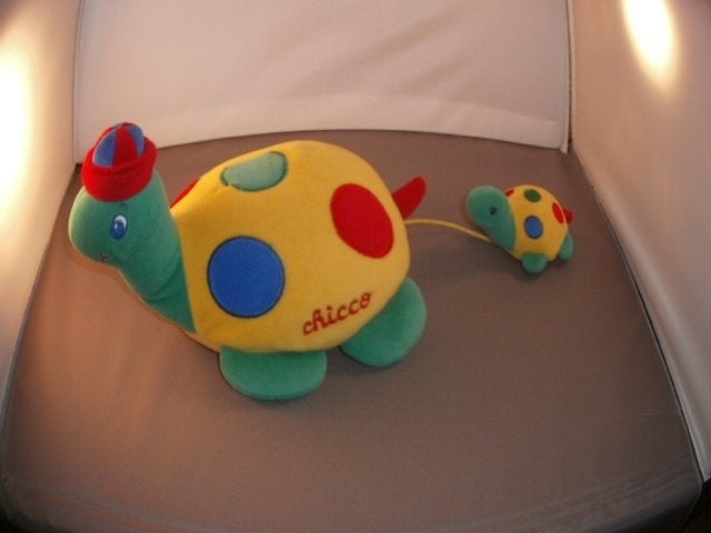 Chicco schildpad met baby piepje gekleurd diverse voor alles, Overige merken, Overige karakters, Overige typen, Ophalen of Verzenden