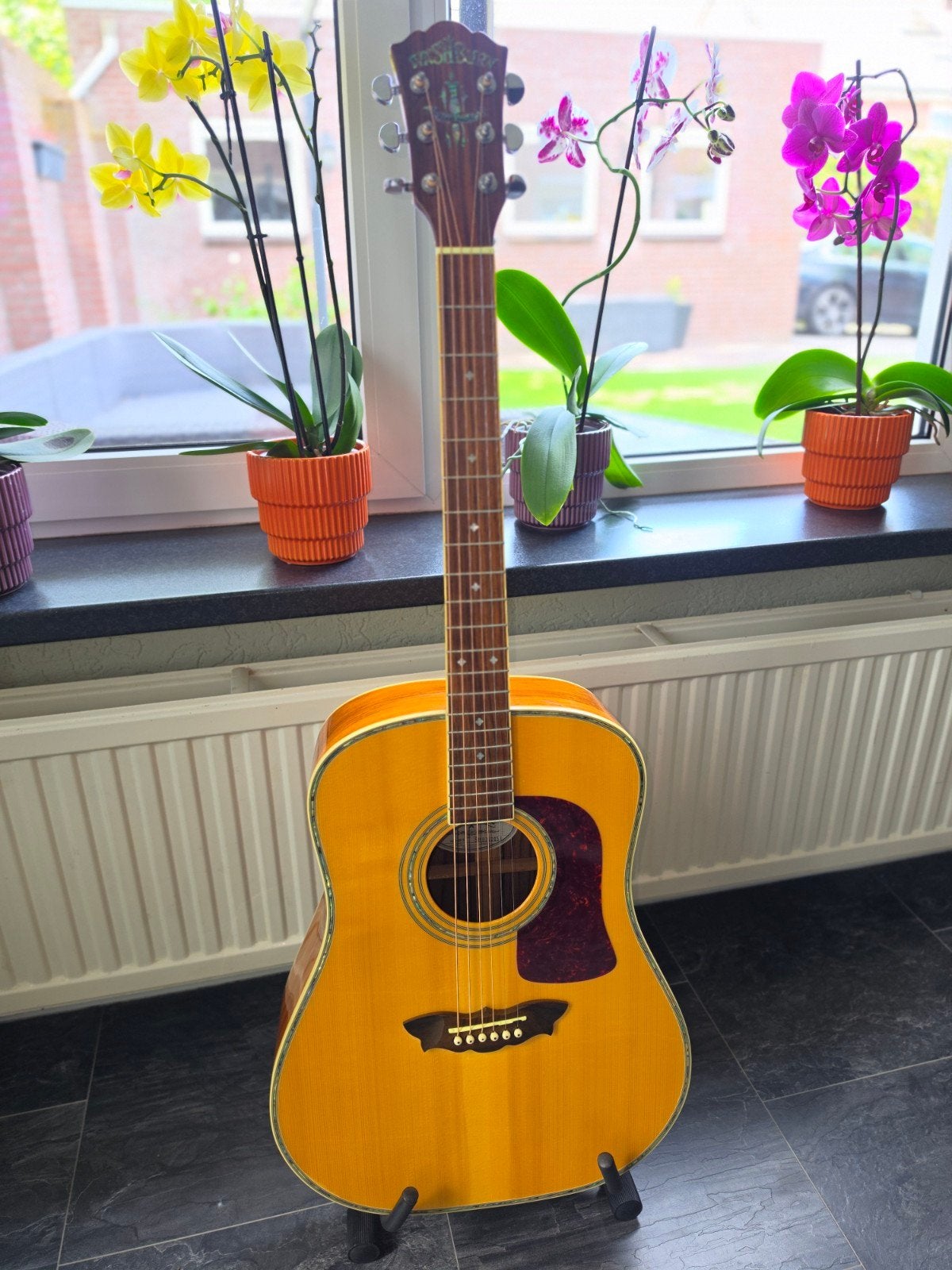 Very rare Washburn WD48S Timbrewood acoustic guitar, Muziek en Instrumenten, Snaarinstrumenten | Gitaren | Akoestisch, Ophalen of Verzenden