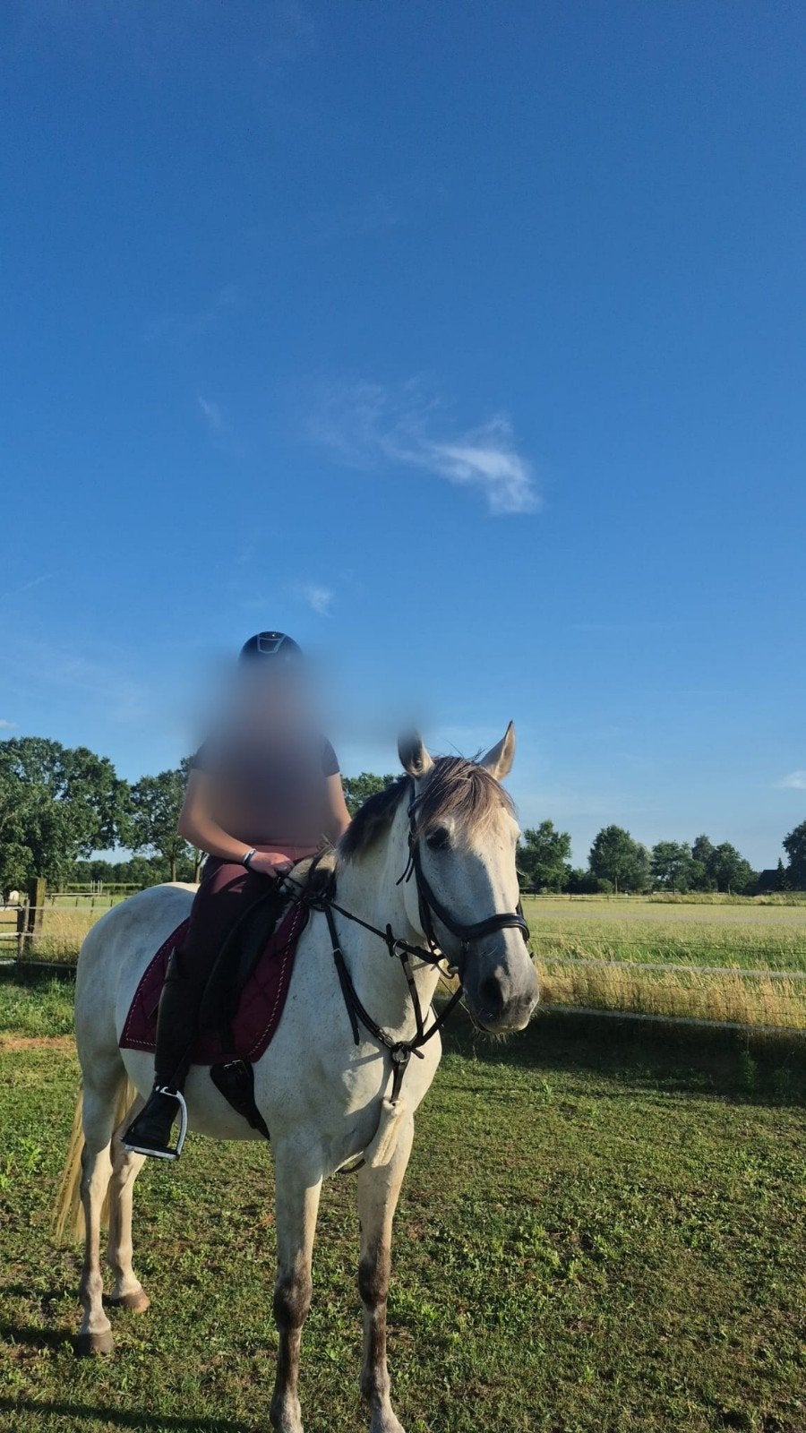bijrijd paard/buitenrit maatje gezocht, Ophalen of Verzenden