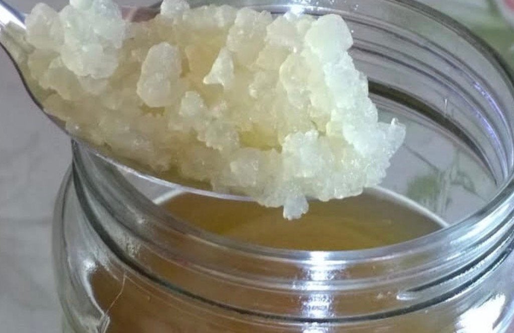 Water kefir korrels - biologisch, Verzenden