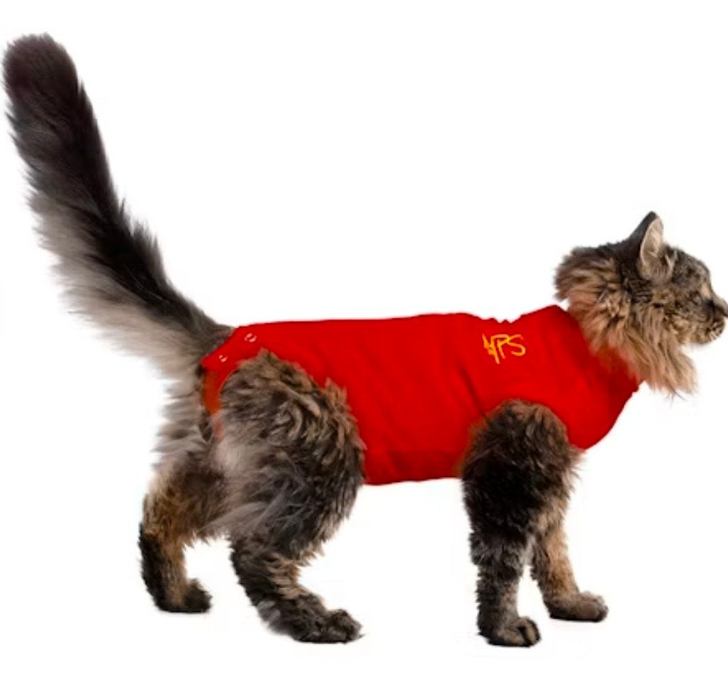 katten rompertje voor kittens, medical pet shirt, Dieren en Toebehoren, Ophalen of Verzenden, Zo goed als nieuw