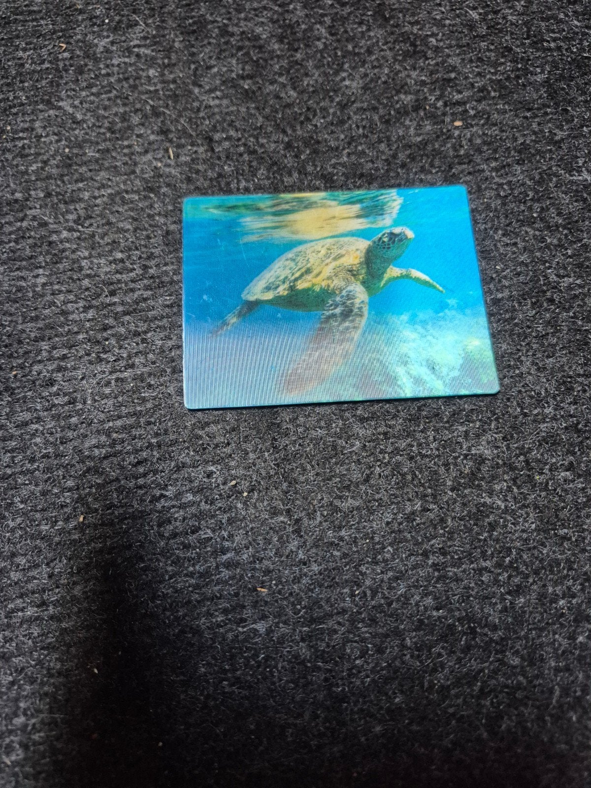 3d Zeeschildpad magneet schildpad, Ophalen of Verzenden, Zo goed als nieuw, Beeldje of Figuurtje