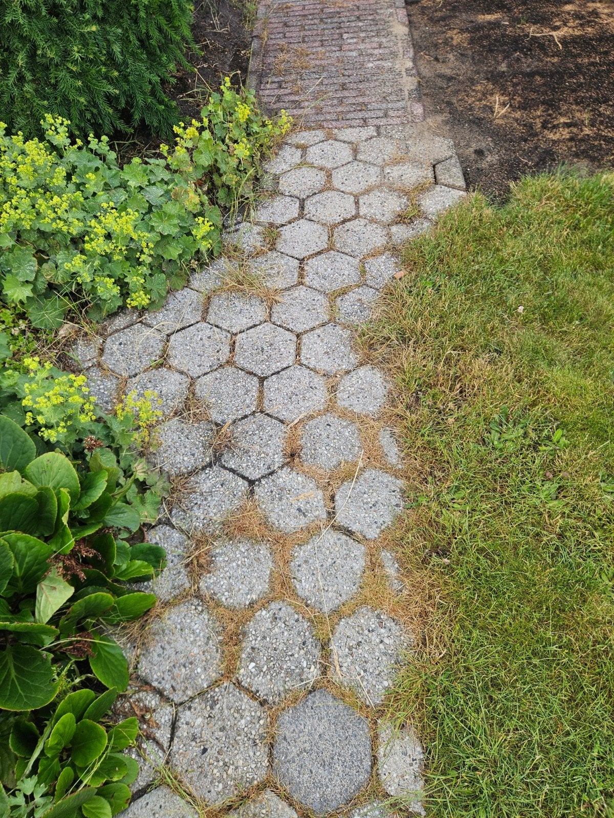 Tegels. Gratis afhalen, Tuin en Terras, Tegels en Klinkers, Ophalen of Verzenden, Gebruikt, Beton, Terrastegels