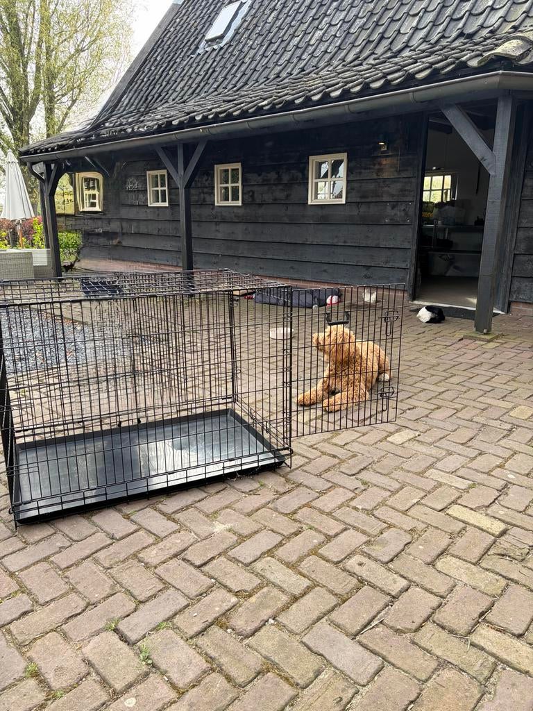 Hondenbench voor middelgrote hond, Ophalen of Verzenden, Gebruikt