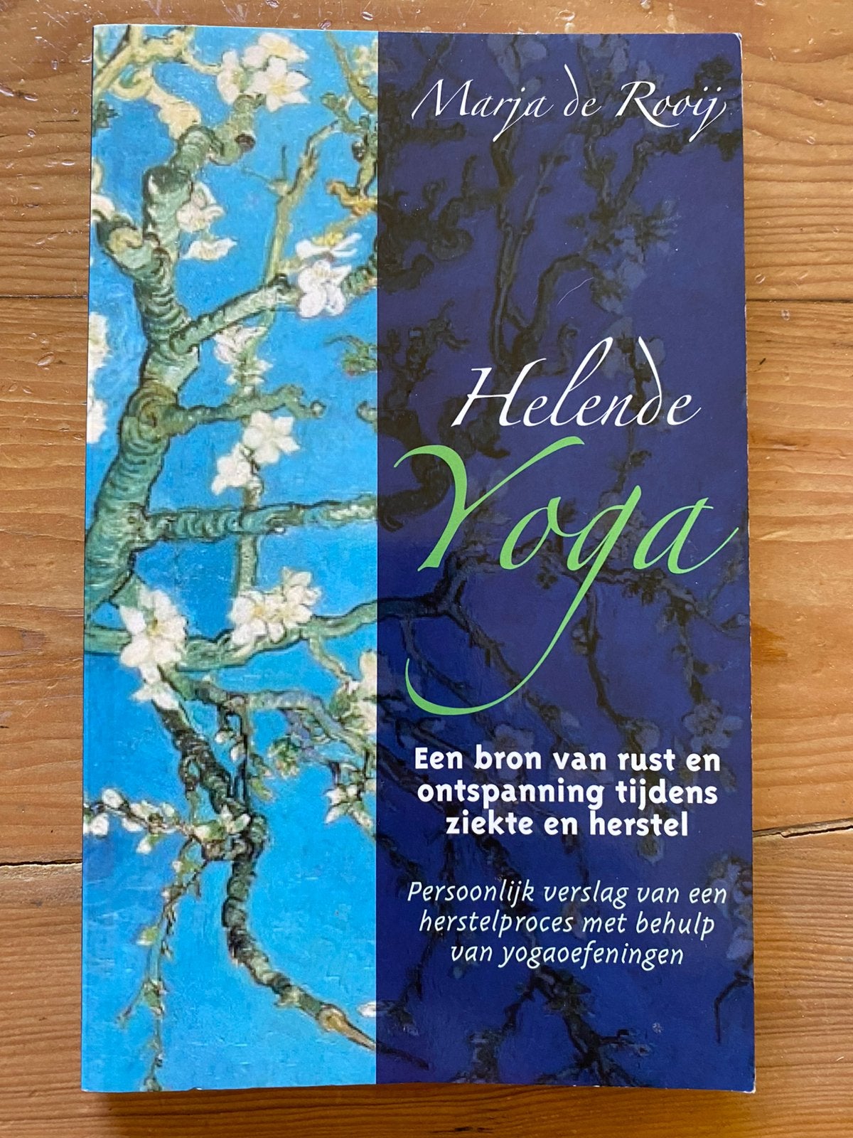 Helende yoga - Marja de Rooij, Ophalen of Verzenden, Zo goed als nieuw, Meditatie of Yoga, Instructieboek