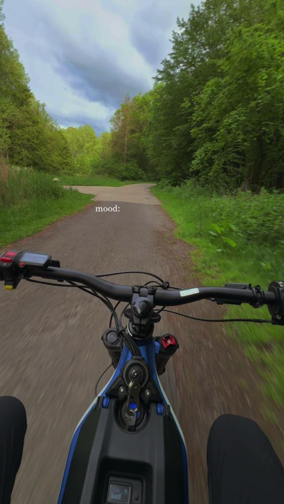 Surron light bee, Fietsen en Brommers, Brommers | Crossbrommers, Ophalen of Verzenden, Zo goed als nieuw, Overige merken