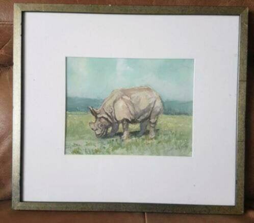 aquarel Neushoorn Trees Wiegman, Antiek en Kunst, Ophalen