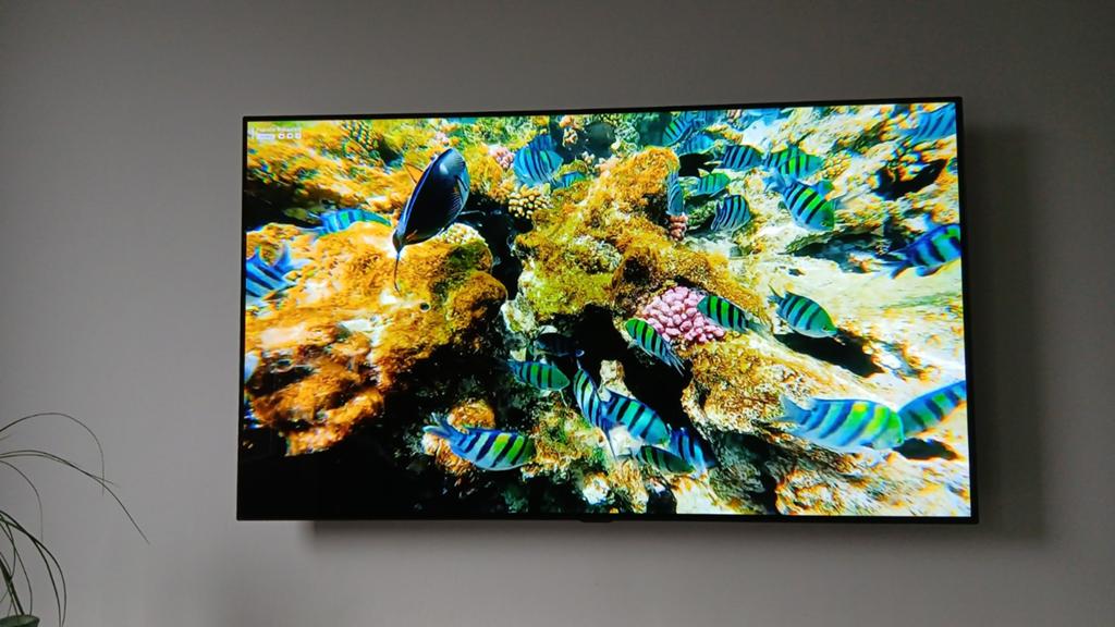 LG OLED55C8PLA 55 inch 4K OLED Smart TV, Ophalen, Zo goed als nieuw, 100 cm of meer, LG