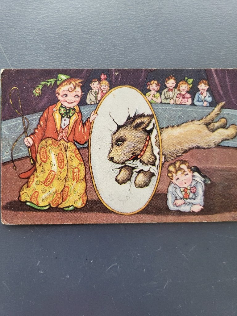 Circus/ allerlei kaarten met als thema circus, Ophalen of Verzenden, 1960 tot 1980, Gelopen, Overige thema's