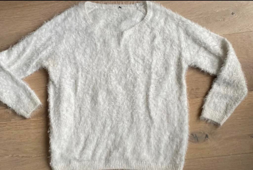 Fluffy trui maat M Esmara, Kleding | Dames, Ophalen of Verzenden, Zo goed als nieuw, Maat 38/40 (M)