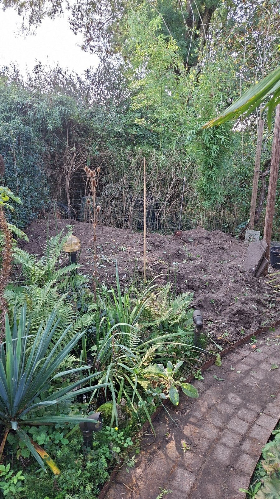 zwarte grond., Ophalen