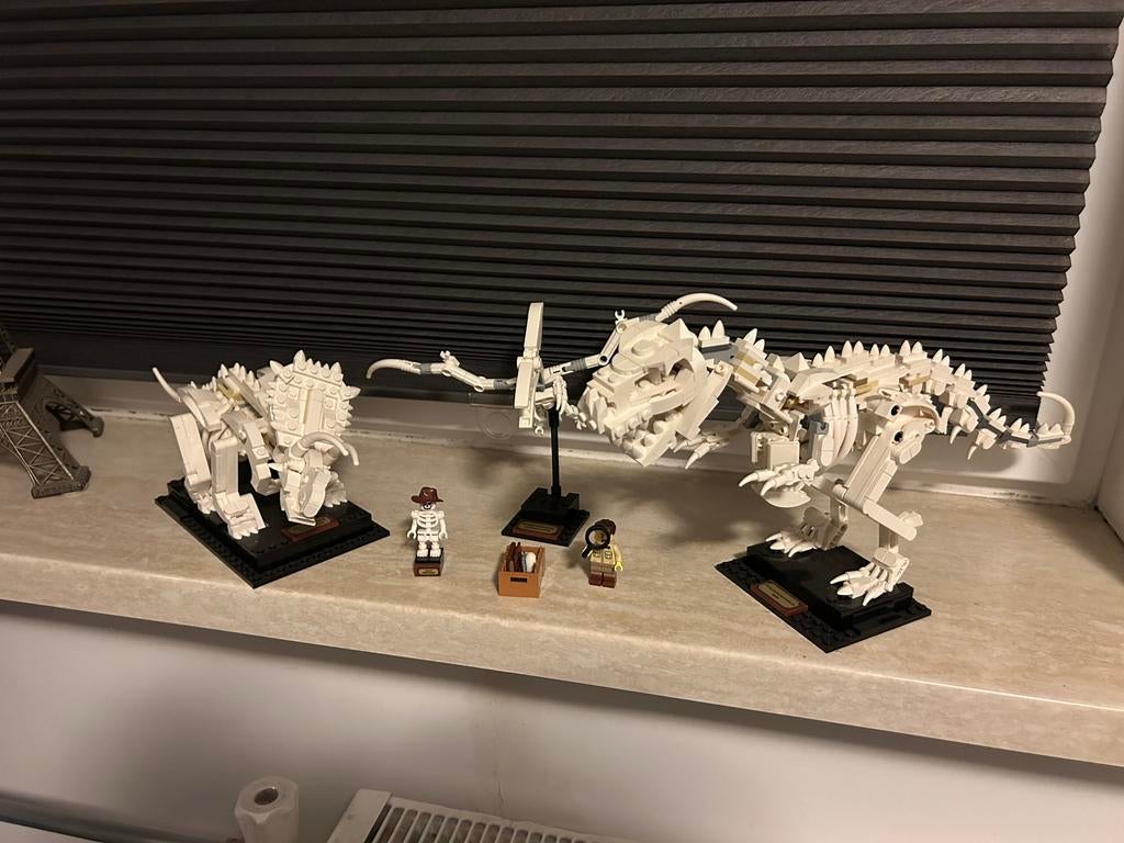 Lego 21320 Fossielen ideas., Ophalen of Verzenden, Zo goed als nieuw, Complete set, Lego