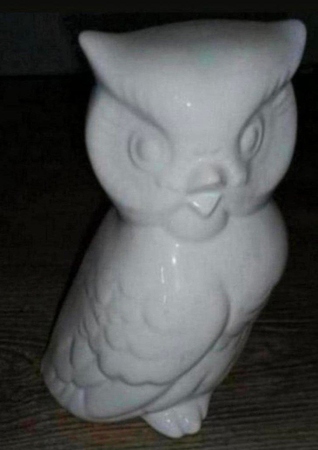 🦉🌻🦉uil🦉🌻🦉, Verzenden, Zo goed als nieuw, Dier